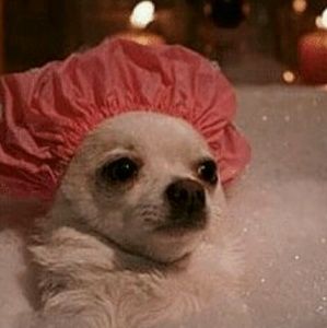 Meet your Posher, Bethany